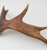 Afwerpstang ELAND GEWEI Zweden