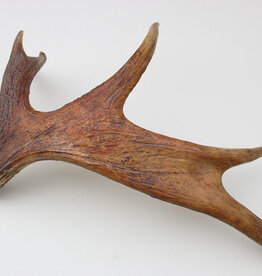 Afwerpstang ELAND GEWEI Zweden - ref. B