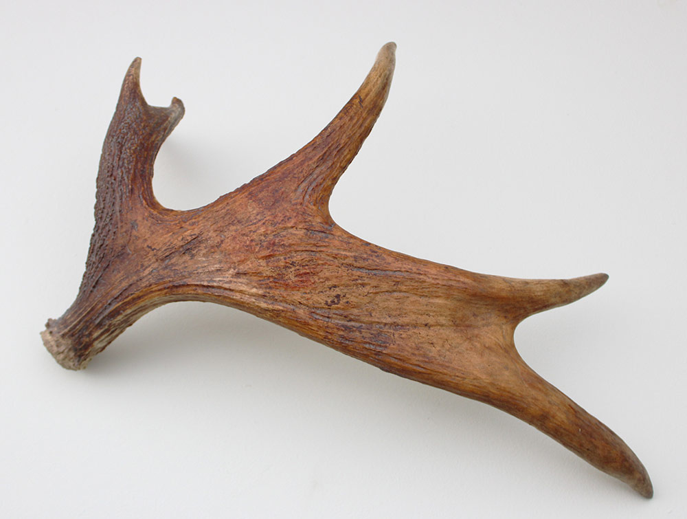 Afwerpstang ELAND GEWEI Zweden