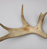 Afwerpstang ELAND GEWEI Zweden