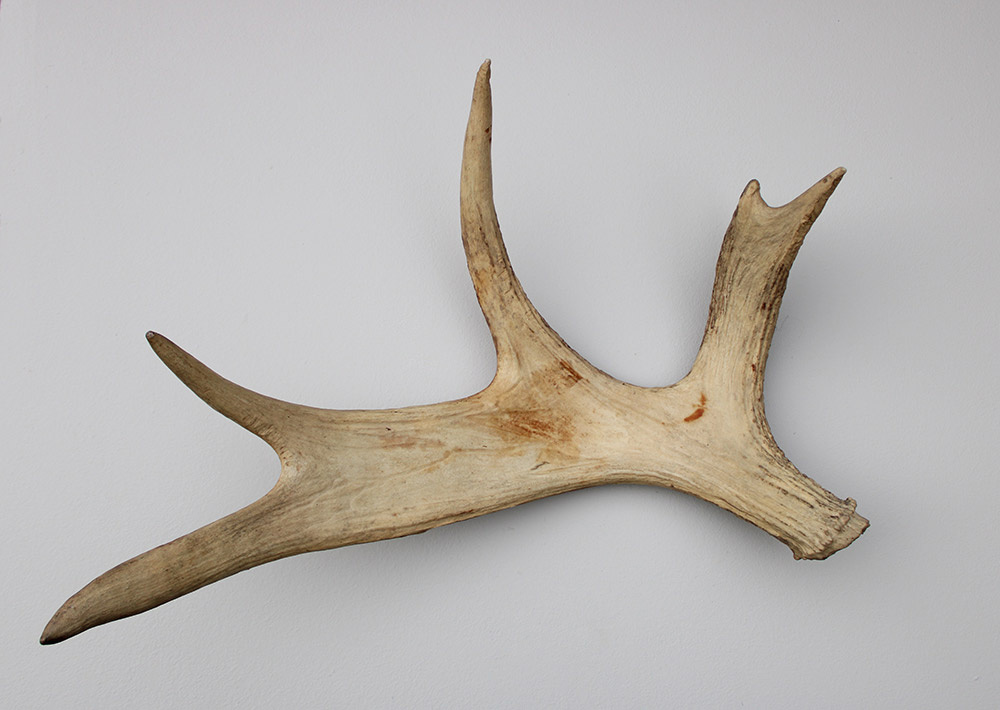 Afwerpstang ELAND GEWEI Zweden