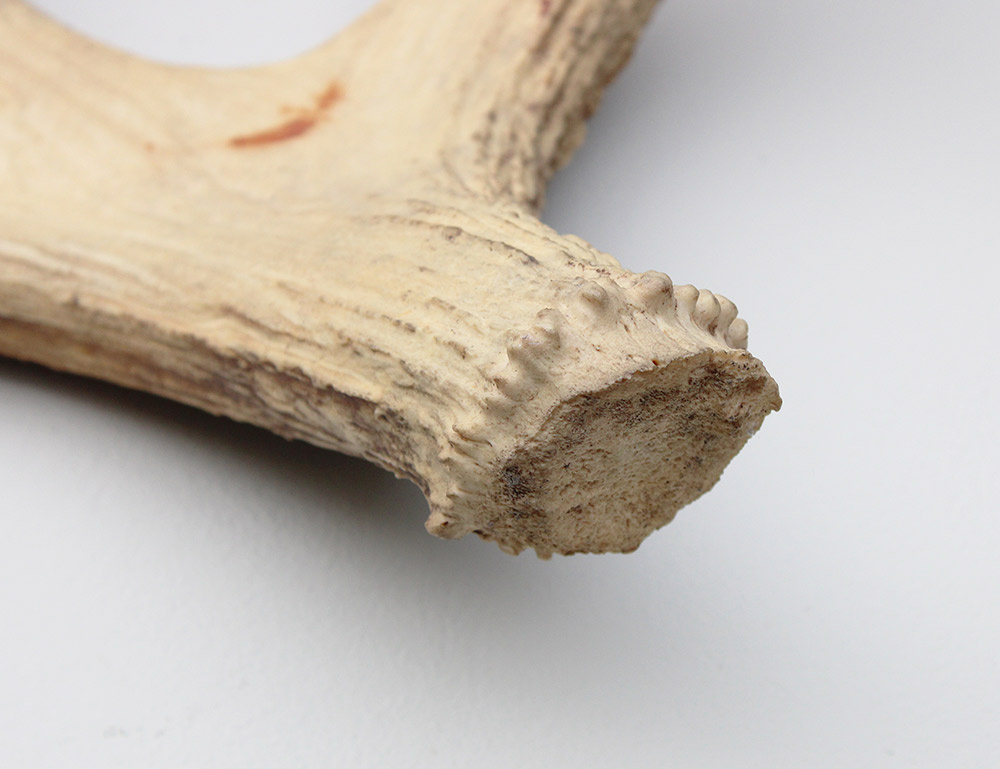 Afwerpstang ELAND GEWEI Zweden