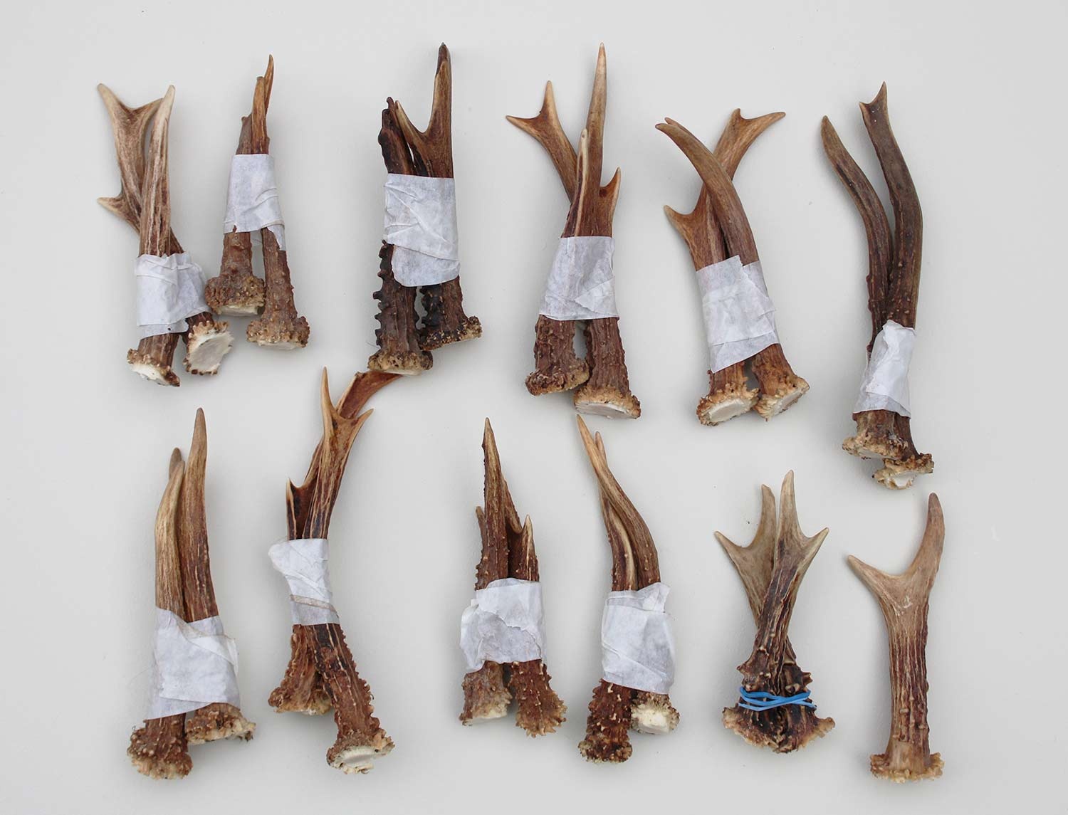 23 stangetjes REE GEWEI 12-17 cm