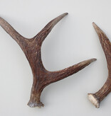 GEWEI STANG ELAND  Zweden