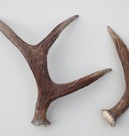 GEWEI STANG ELAND  Zweden