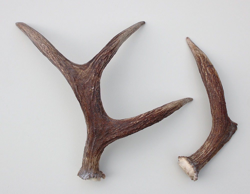 GEWEI STANG ELAND  Zweden