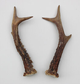 REE GEWEI PAAR 19 cm - Ref. O