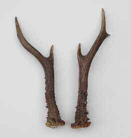 REE GEWEI PAAR 20 cm - Ref. C