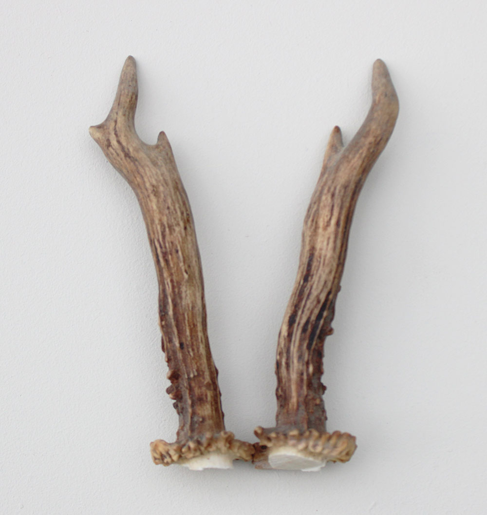 REE GEWEI PAAR 17 cm