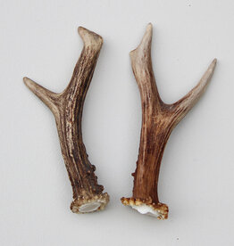 REE GEWEI PAAR 13 cm - Ref. P