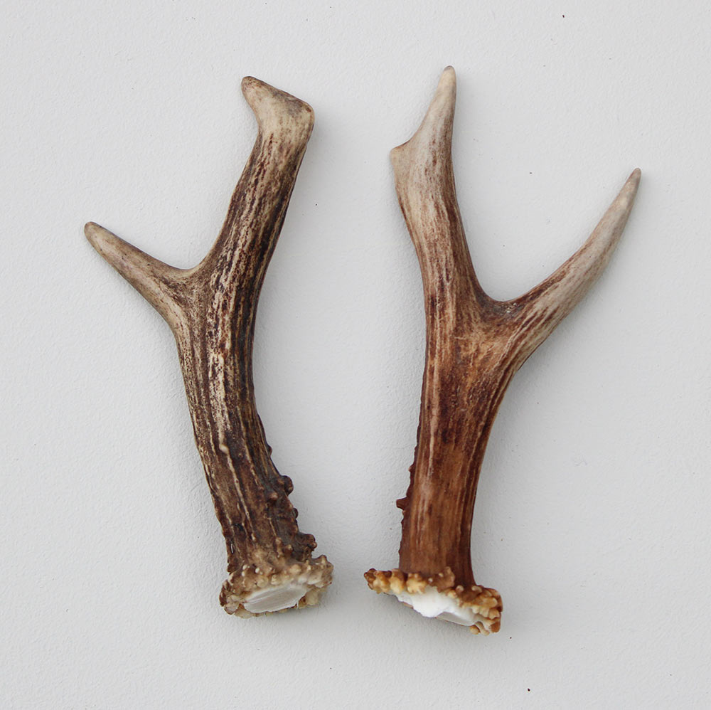 REE GEWEI PAAR 13 cm