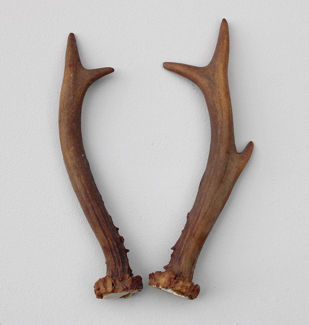 REE GEWEI PAAR 16 cm