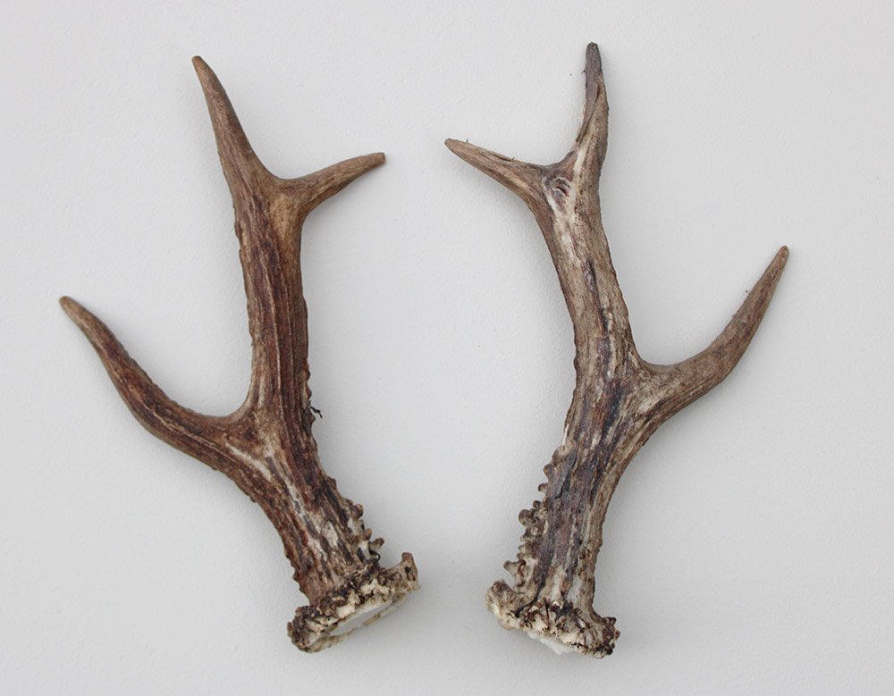 REE GEWEI PAAR 20 cm