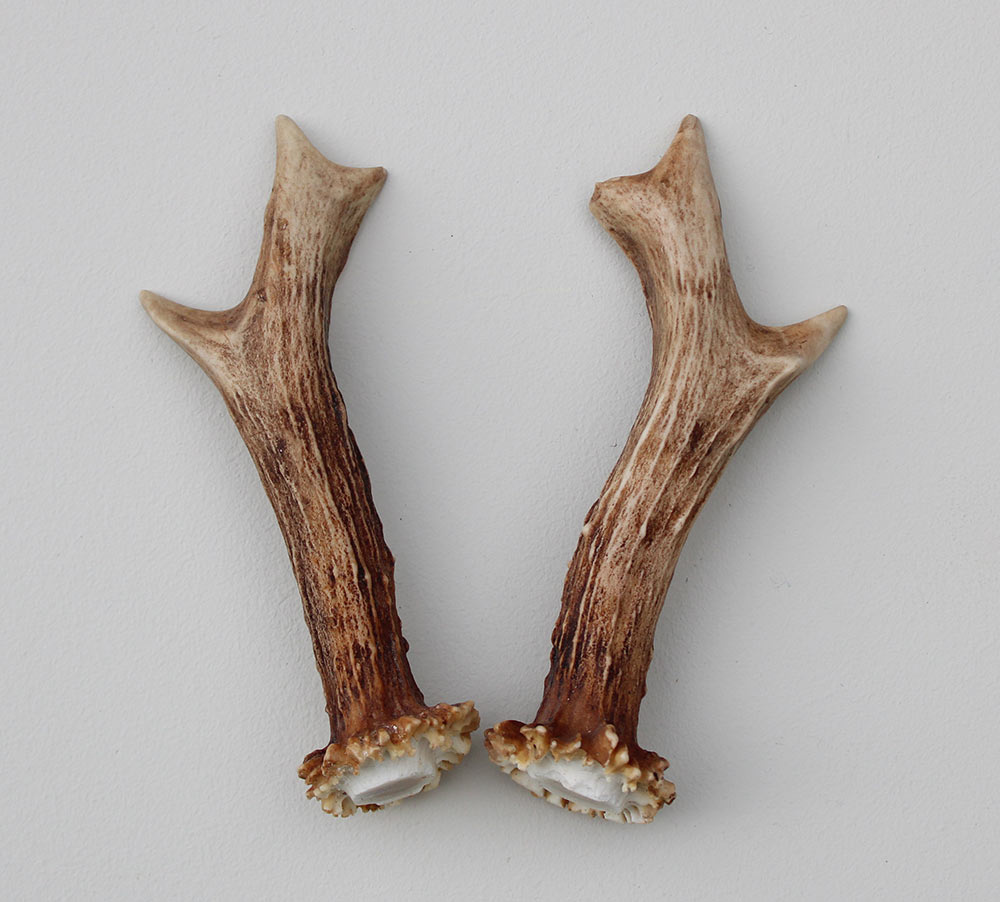 REE GEWEI PAAR 12 cm