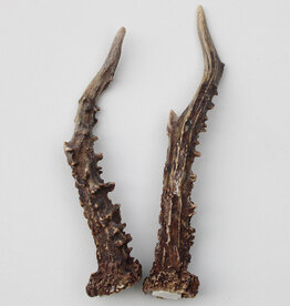 REE GEWEI PAAR 16 cm - Ref. M