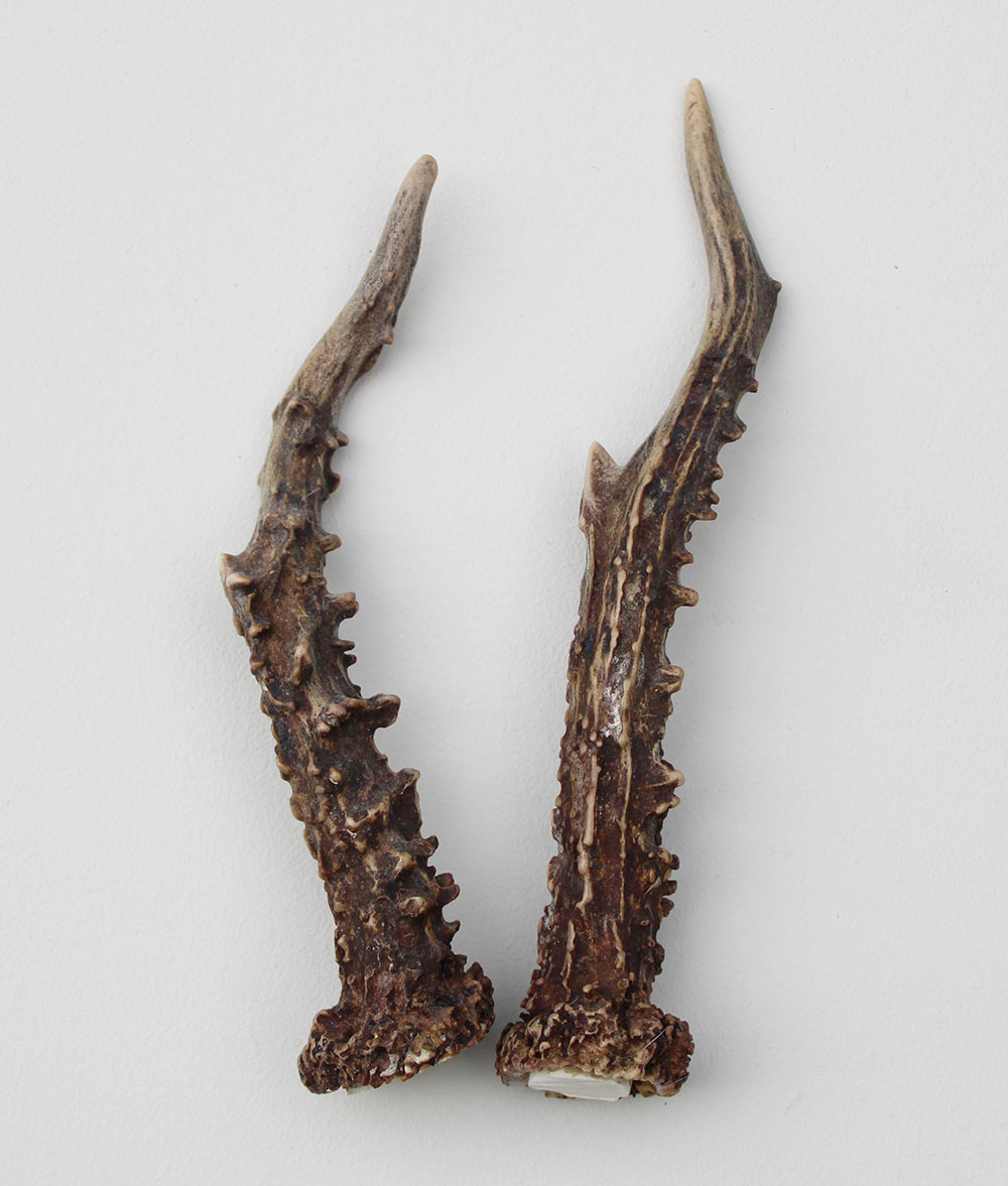 REE GEWEI PAAR 16 cm