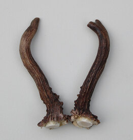 REE GEWEI PAAR 147 cm - Ref. E