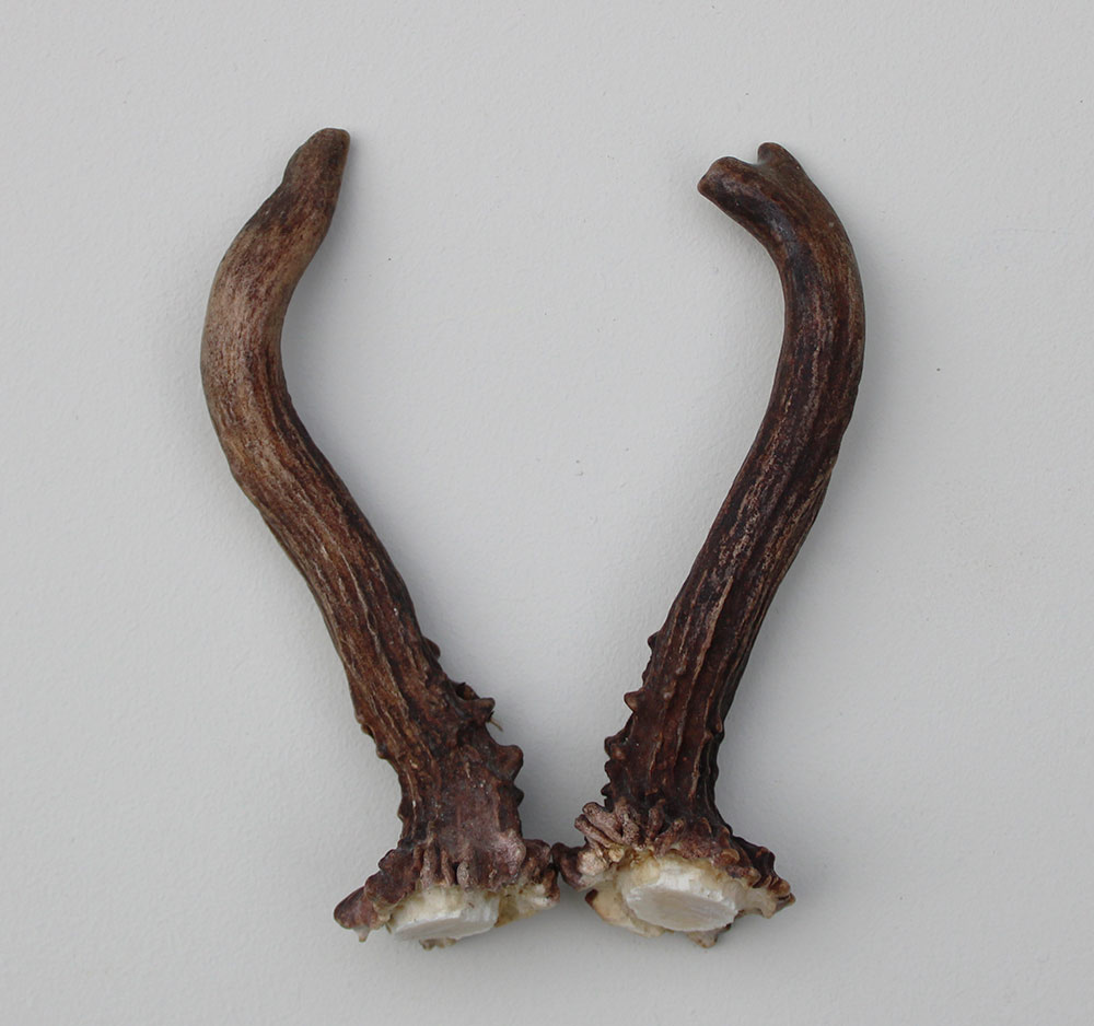 REE GEWEI PAAR 14 cm