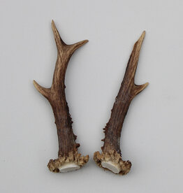 REE GEWEI PAAR 14 cm - Ref. L