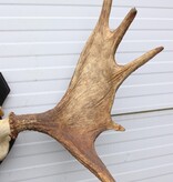 Zweeds ELAND GEWEI op houten schild