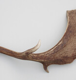 Grote DAMHERT GEWEI AFWERP STANG - ± 1,5 kg - 72 cm