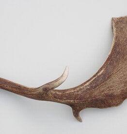 Grote DAMHERT GEWEI AFWERP STANG - ± 1,5 kg - 72 cm  - ref.  A