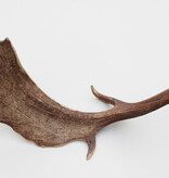 Grote DAMHERT GEWEI AFWERP STANG - ± 1,5 kg - 72 cm