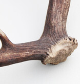 Grote DAMHERT GEWEI AFWERP STANG - ± 1 kg - 72 cm