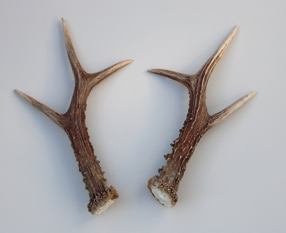 REE GEWEI PAAR 22 cm