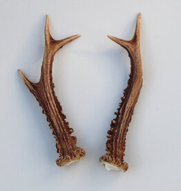 REE GEWEI PAAR 18 cm - Ref. K