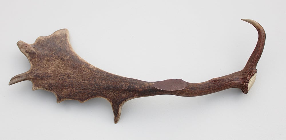 DAMHERT GEWEI AFWERP STANG - ± 1 kg - 65 cm