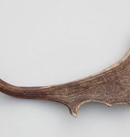 DAMHERT GEWEI AFWERP STANG - ± 1 kg - 65 cm  - ref.  E