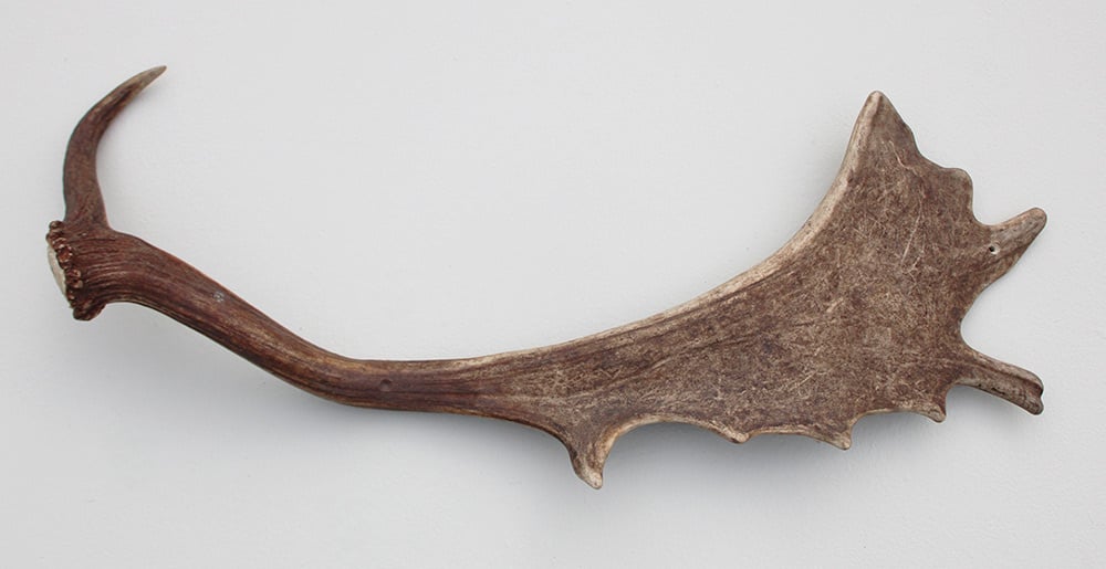 DAMHERT GEWEI AFWERP STANG - ± 1 kg - 65 cm