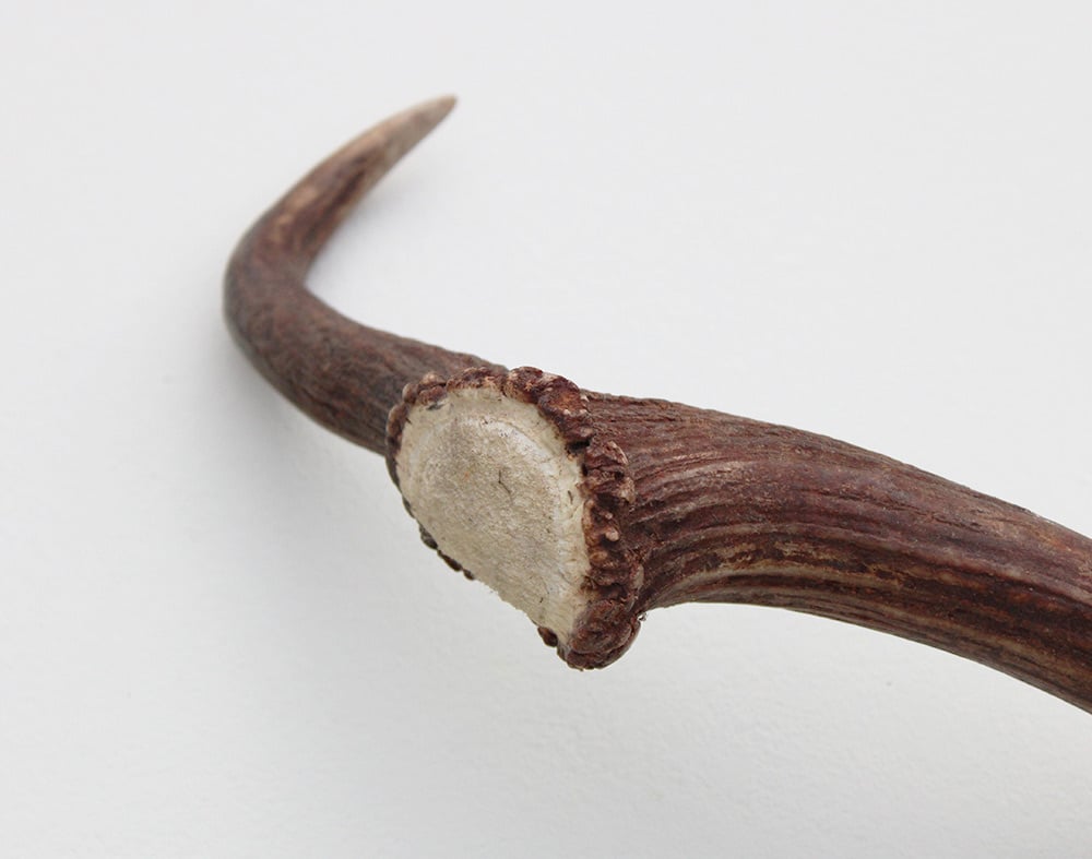 DAMHERT GEWEI AFWERP STANG - ± 1 kg - 65 cm