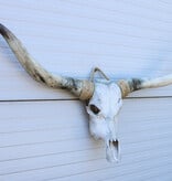 Grote schedel TEXAS STYLE LONGHORN 146 cm