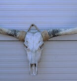Grote schedel TEXAS STYLE LONGHORN 146 cm