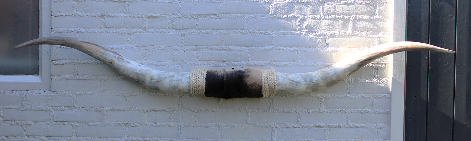 Texas style BULLBAR- 170 cm - afgewerkt met vel