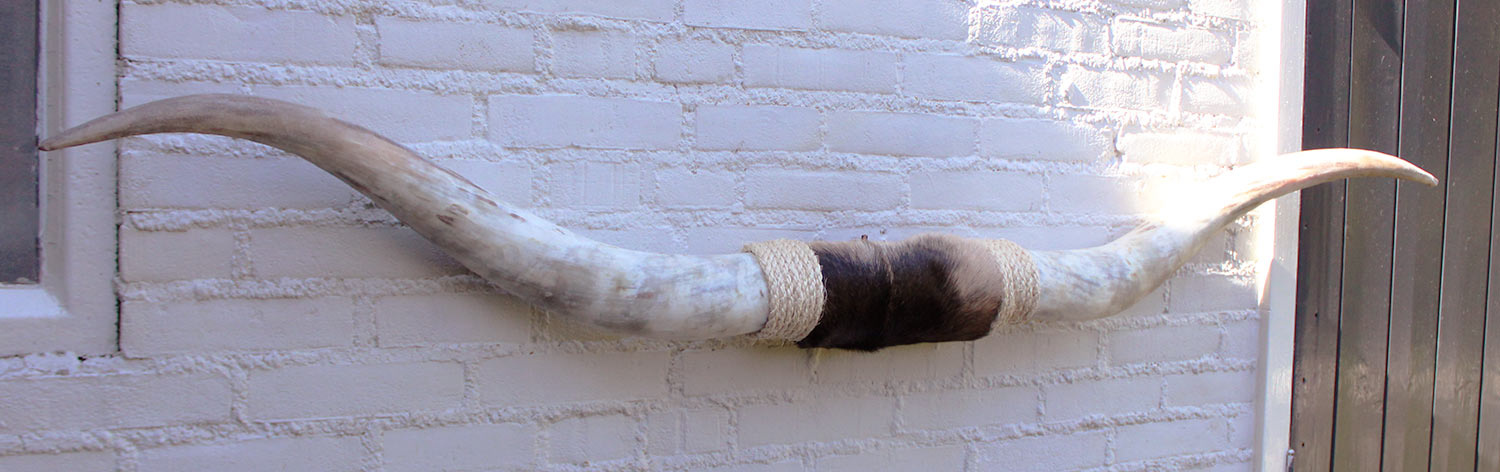 Texas style BULLBAR- 170 cm - afgewerkt met vel