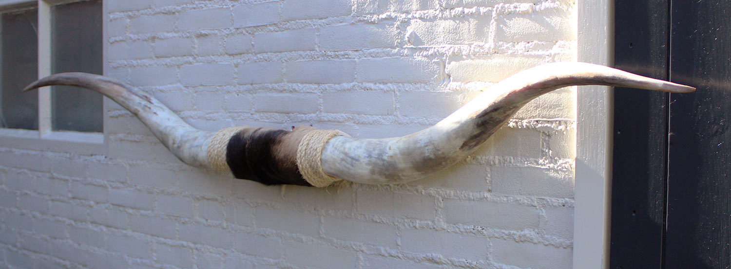 Texas style BULLBAR- 170 cm - afgewerkt met vel