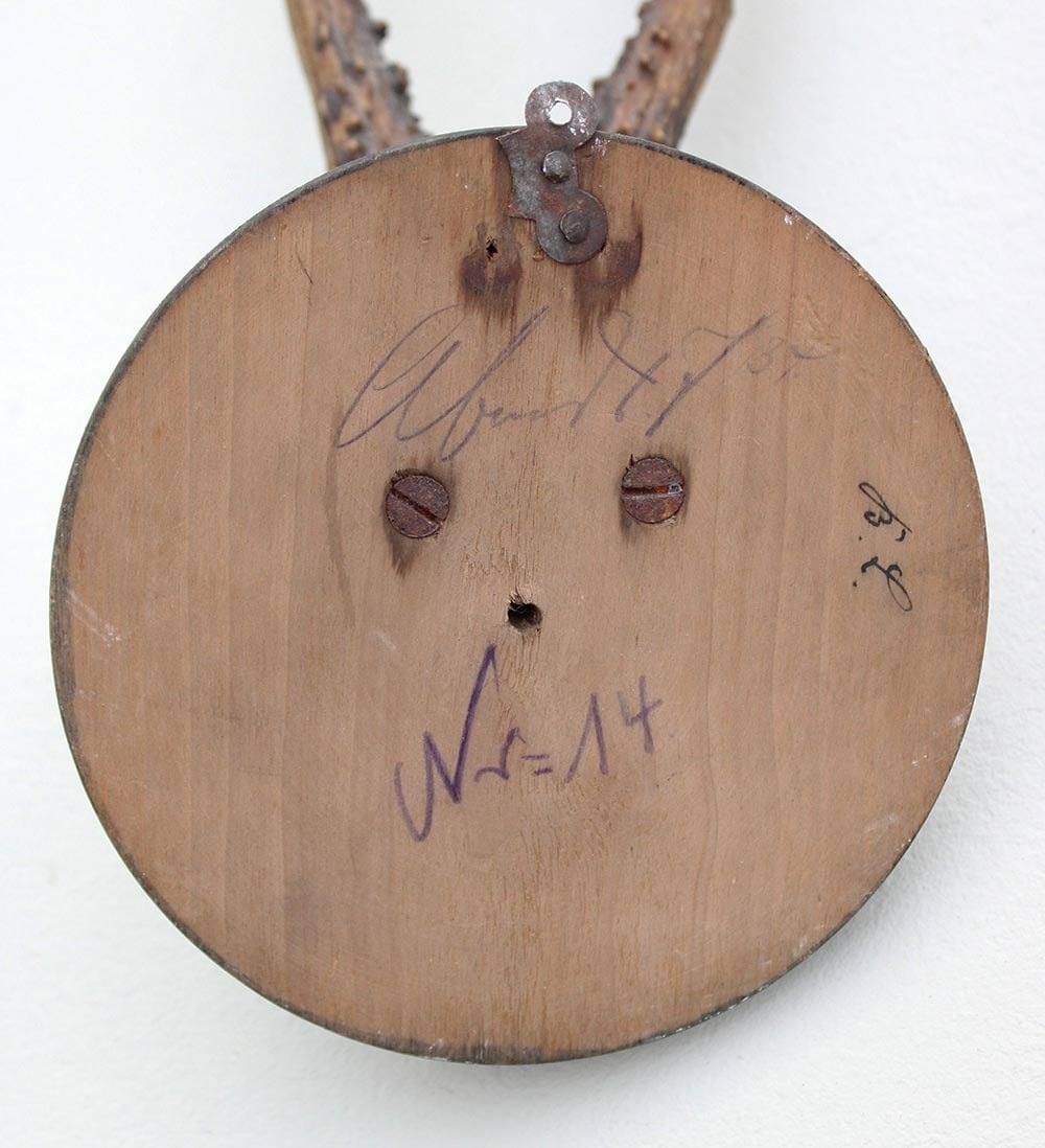 Antiek zesender REE GEWEI  - rond 1910 op rond zwart houten schild