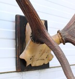 Antiek EDELHERT GEWEI, ongelijke 10-ender - 1888