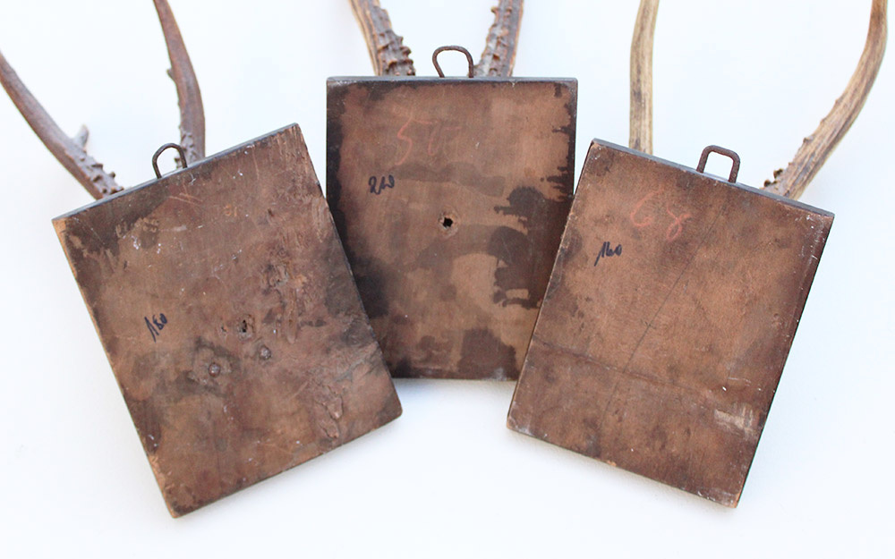 3 x antiek REE GEWEI  op zwart houten schild  - 1878