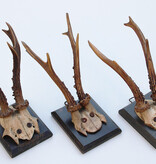 3 x antiek REE GEWEI  op zwart houten schild  - 1885-1887