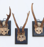 3 x antiek REE GEWEI  op zwart houten schild  - 1885-1887