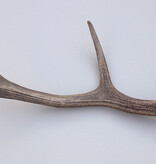 EDELHERT GEWEI AFWERP STANG - 63 cm