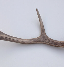 EDELHERT GEWEI AFWERP STANG - 63 cm  - ref. A