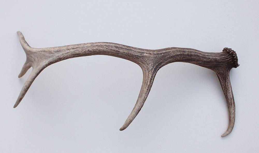 EDELHERT GEWEI AFWERP STANG - 63 cm