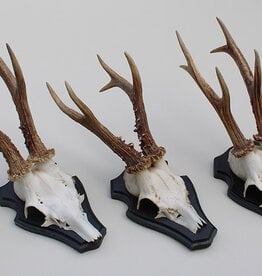 3 x zesender REE GEWEI op houten schild -  set Q