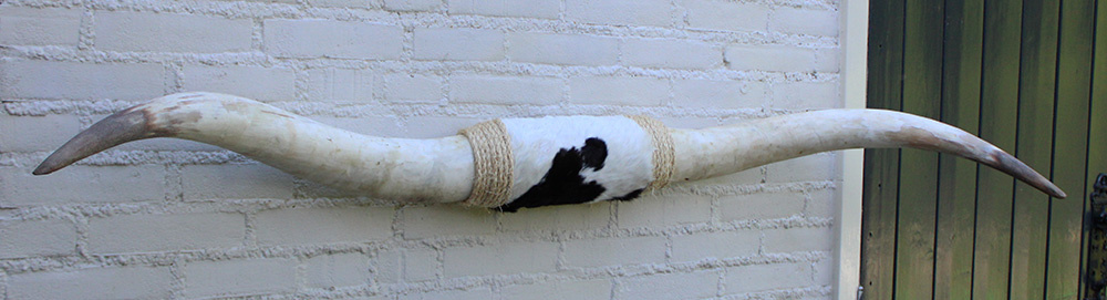 Texas style BULLBAR- 160  cm - afgewerkt met vel
