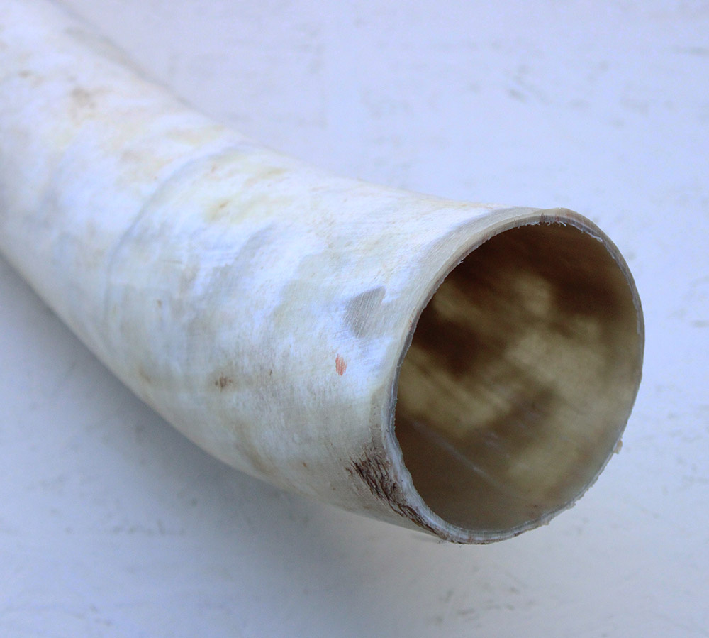 WATUSI HOORN - 86 cm